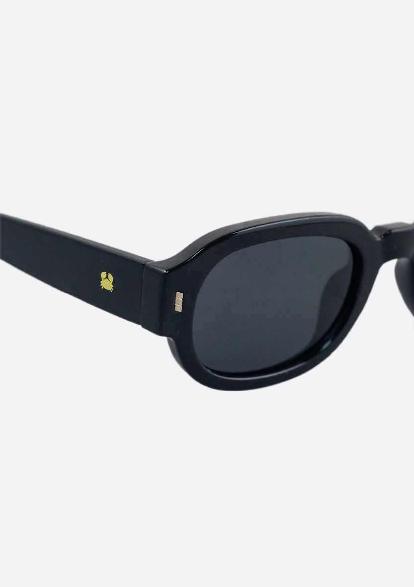 Melibea Shiny Black Sunglasses