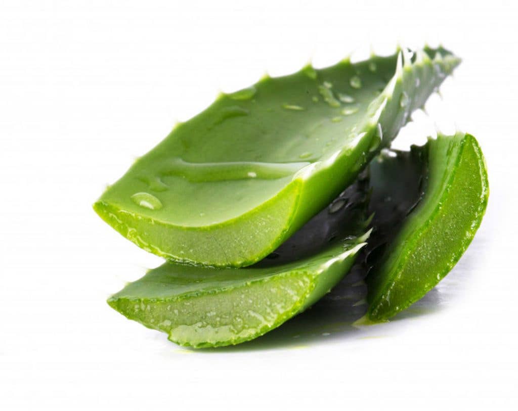 Three thick slices of fresh aloe vera with green skin and clear gel rest on a white surface, inspiring Daki Olive Oil Soap with Ginger and Aloe Vera—handcrafted for a soothing, natural cleanse.