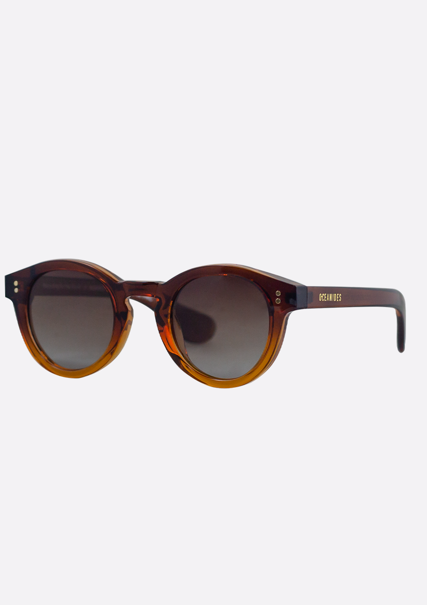 Retro round sunglasses by Oceanides, "Sunglasses (Polarized) - Rodea Crystal Gradient Brown," made from recycled plastic with thick tortoiseshell frames and dark tinted lenses. "PECANNOES" in gold on the left temple arm. Light gray background.