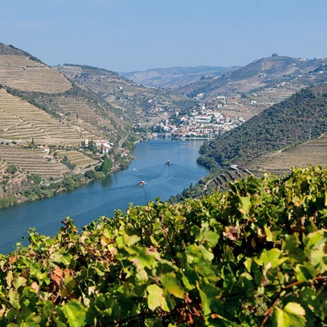 Douro - Travels and Stories | Print Books | Iberica - Pretty things from Portugal