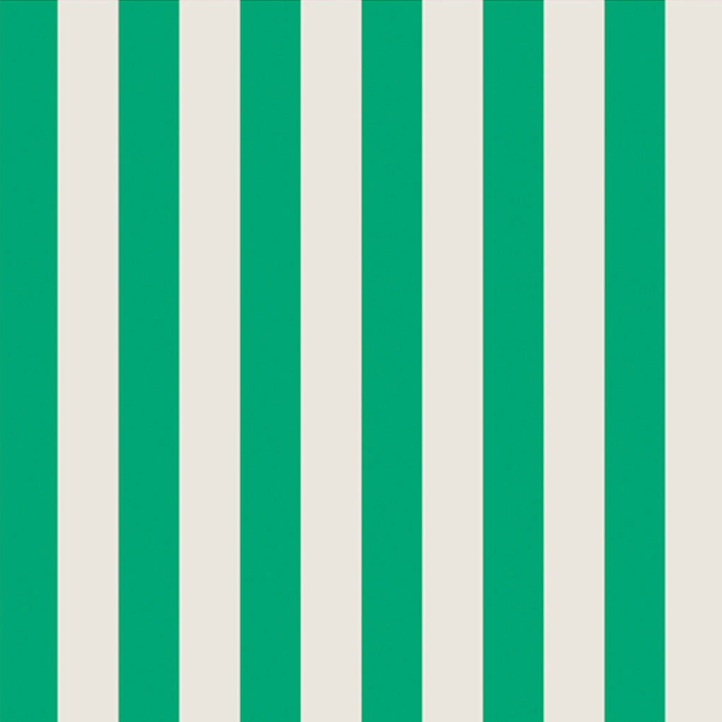 Bold Stripe Case