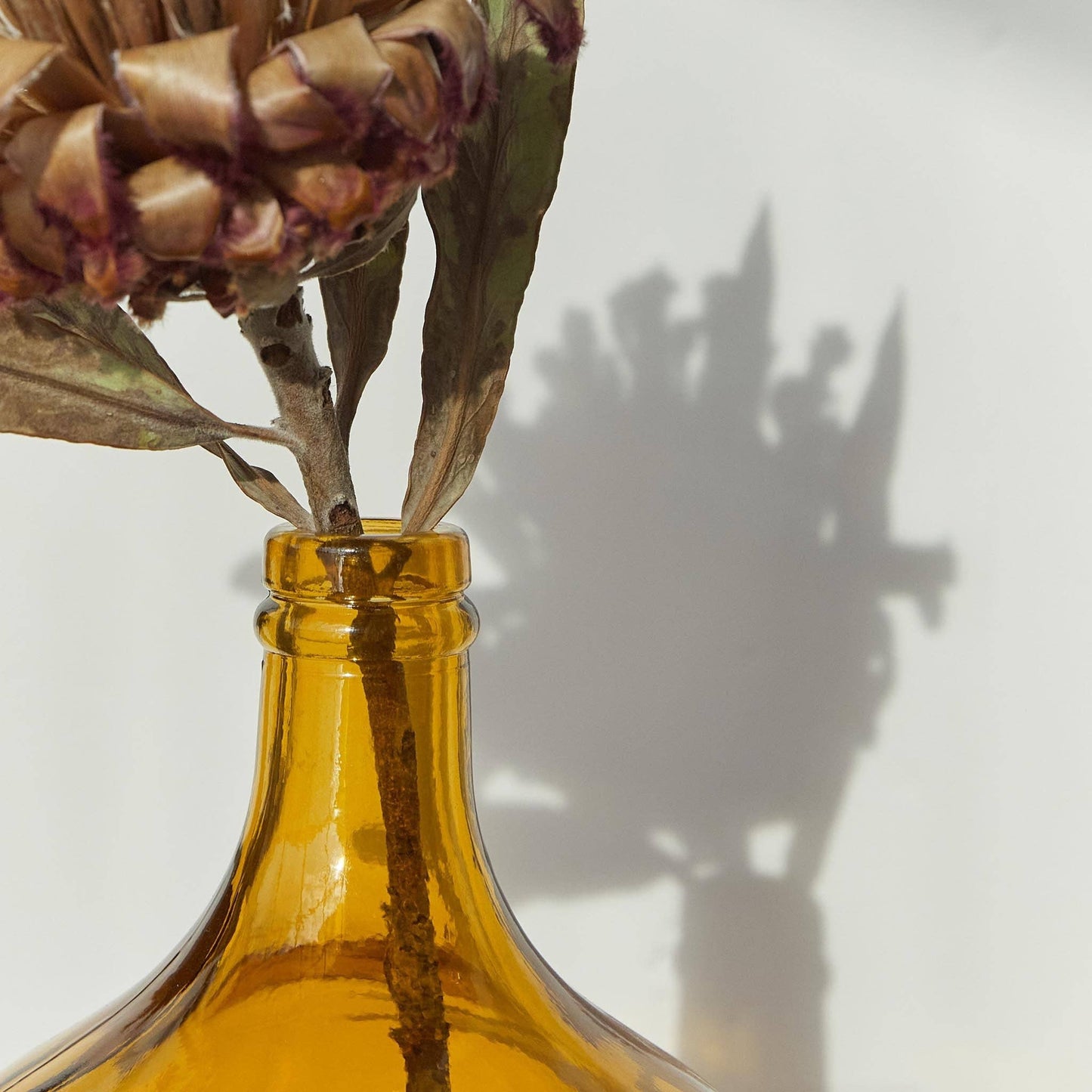 A close-up of dried flowers in Hannun’s Luiza Demijohn Vase, with shadows on a white wall. The image highlights the vases top and dried stems, reflecting sustainable craftsmanship in every detail.