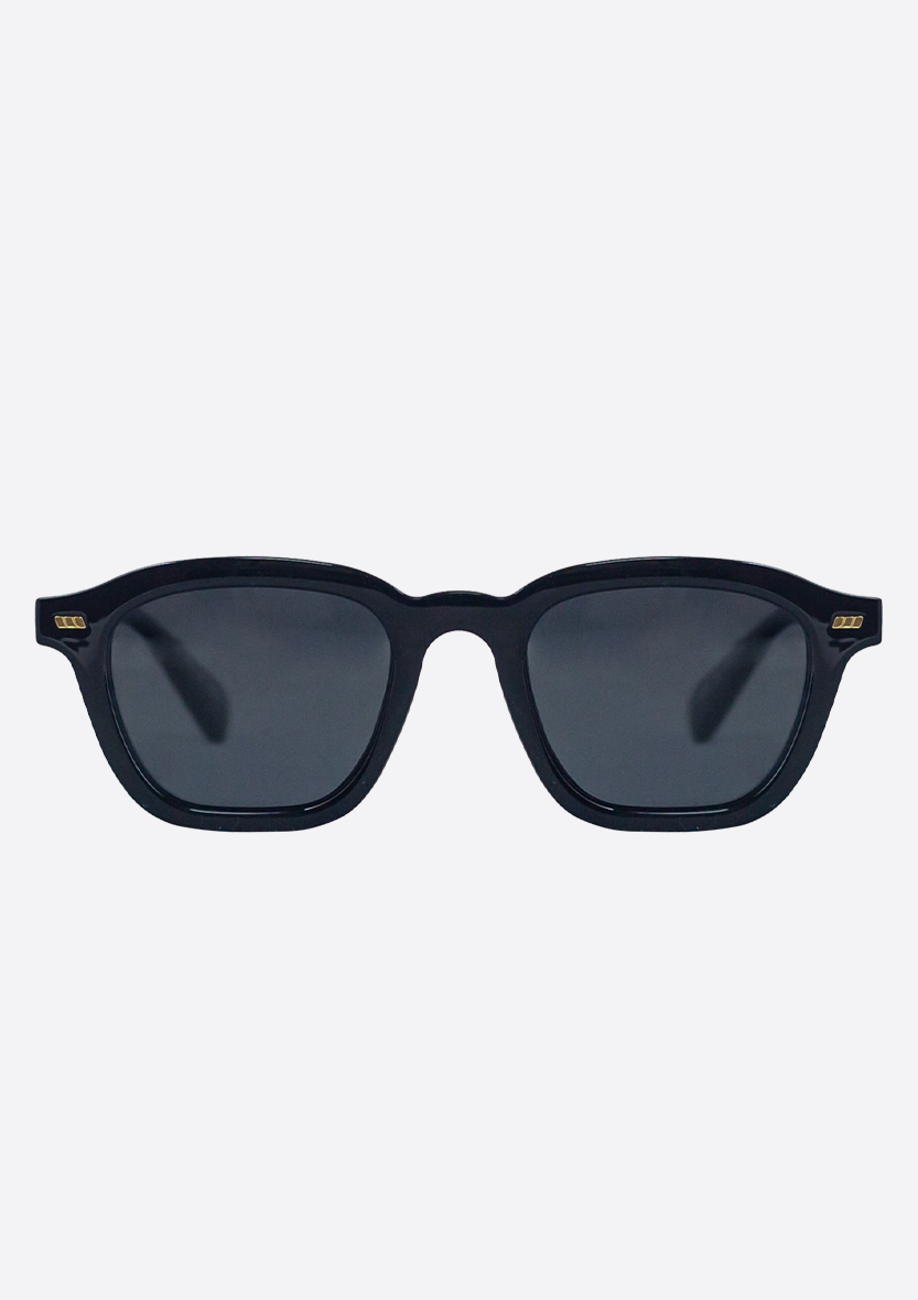 Neda Shiny Black Sunglasses