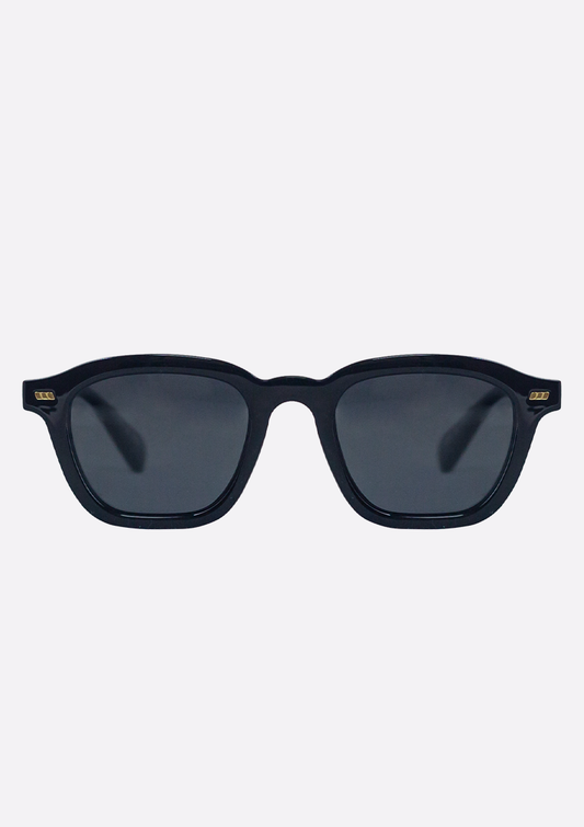 Neda Shiny Black Sunglasses